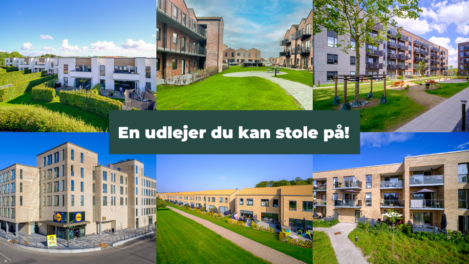 Vg Bolig En Udlejer Du Kan Stole På